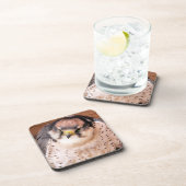 FALCON BIRD VAN PREY BIER ONDERZETTER (Rechterzijde)