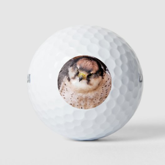 FALCON BIRD VAN PREY GOLFBALLEN (Voorkant)
