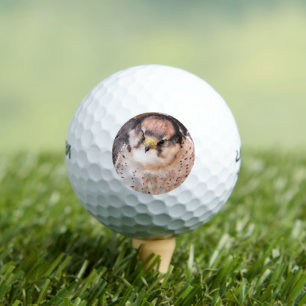 FALCON BIRD VAN PREY GOLFBALLEN