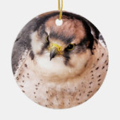 FALCON BIRD VAN PREY KERAMISCH ORNAMENT (Voorkant)