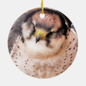 FALCON BIRD VAN PREY KERAMISCH ORNAMENT (Achterkant)