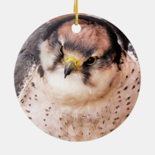 FALCON BIRD VAN PREY KERAMISCH ORNAMENT (Achterkant)