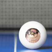 FALCON BIRD VAN PREY PINGPONGBAL (Net)