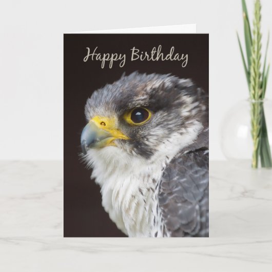 Falcon Birthday Wenskaart - Wild Falcon Bird O Kaart (Voorkant)