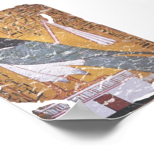 Falcon blk poster (Hoek)