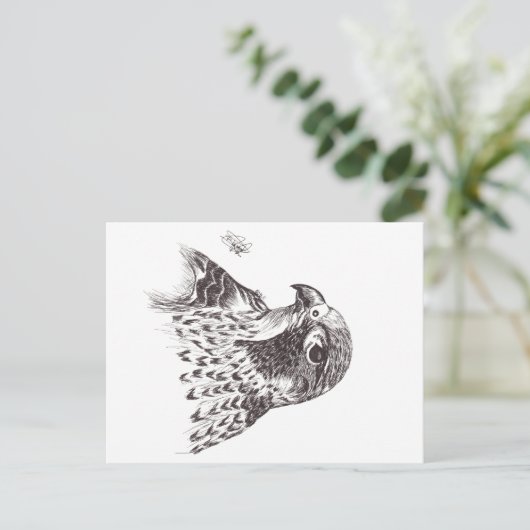 FALCON BRIEFKAART (Staand voorkant)