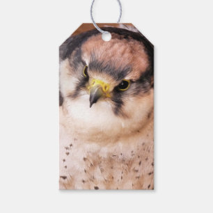 FALCON CADEAULABEL