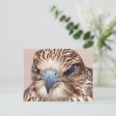 Falcon Close Briefkaart (Staand voorkant)