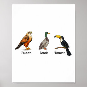 Falcon Duck Toucan Vogels Subtiele Anti Trump Poster