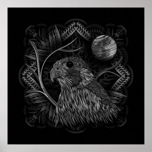 Falcon Full Moon Poster (Voorkant)