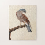 Falcon Hen Kestrel | William Lewin Legpuzzel<br><div class="desc">Falcon; Hen Kestrel (before 1790) | William Lewin’s Falcon; Hen Kestrel is a striking and detailed painting featuring a hen kestrel perched gracefully on a branch against a minimalist neutral background. The artwork captures the bird’s sleek form, sharp beak, and intricate plumage with exceptional precision. The simplicity of the composition...</div>