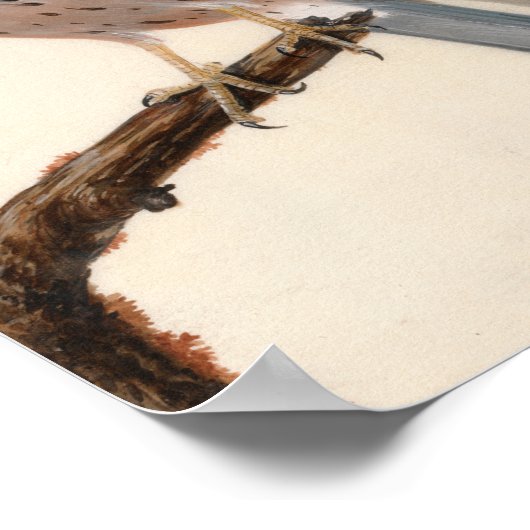 Falcon Hen Kestrel | William Lewin Poster (Hoek)