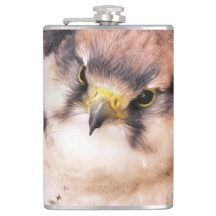 FALCON HEUPFLES