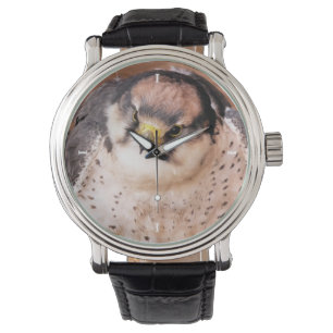 FALCON HORLOGE