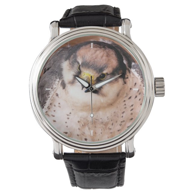 FALCON HORLOGE (Voorkant)