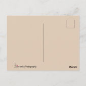 Falcon in profiel briefkaart (Achterkant)