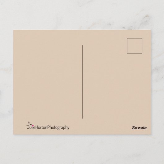 Falcon in profiel briefkaart (Achterkant)