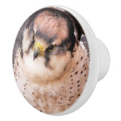 FALCON KERAMISCHE KNOP (Rechts)