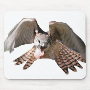 Falcon Mousepad Muismat