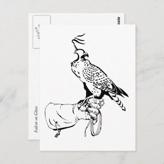 Falcon on Glove Briefkaart (Voorkant / Achterkant)