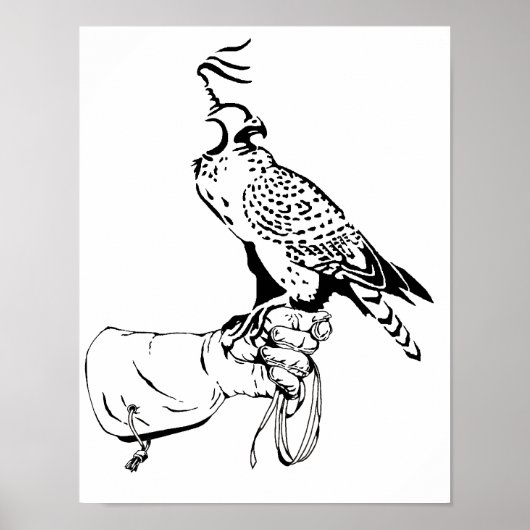 Falcon on Glove Poster (Voorkant)