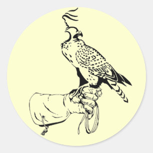 Falcon op handschoen Sticker