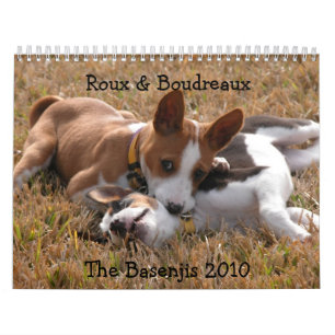 Falcon Photography Basenji Calendar 2010 Kalender