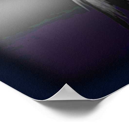 Falcon ~ Politie Poster (Hoek)