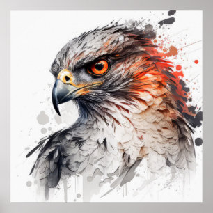 Falcon Portret Dierenschilderij Wildlife Outdoors Poster