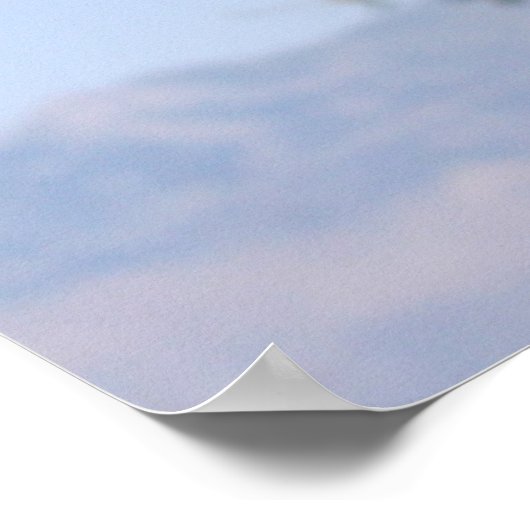 Falcon-Poster Poster (Hoek)