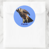Falcon Raptor Birdlover's Wilde Sticker (Tas)