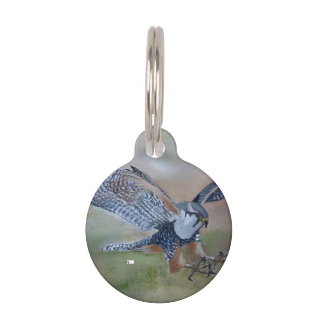 Falcon Round Pet Tag Huisdierpenning (Voorkant)