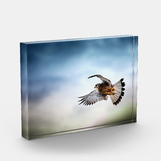 Falcon Soaring in the Sky Fotoblokken (Links)