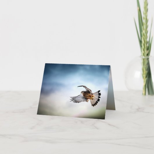 Falcon Soaring in the Sky Kaart (Voorkant)