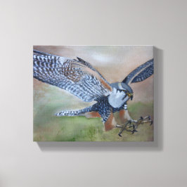 Falcon Stretched Canvas Print