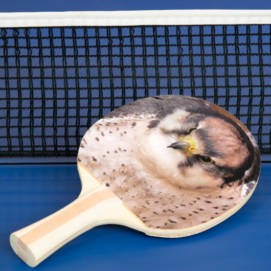FALCON TAFELTENNISBATJE (Insitu)