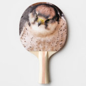 FALCON TAFELTENNISBATJE (Voorkant)