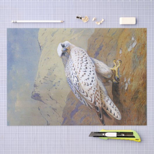 Falcon Waterverf Wildlife Decoupage Tissuepapier (Craft)
