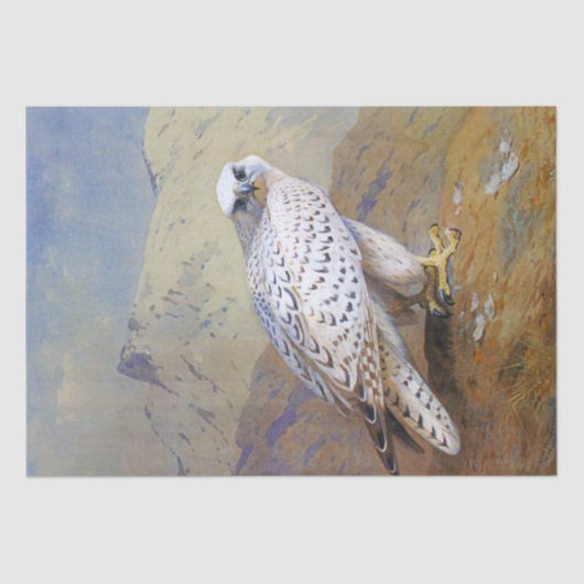 Falcon Waterverf Wildlife Decoupage Tissuepapier (Voorkant)