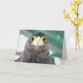 Falcon-Wenskaart Kaart (Gele Bloem)