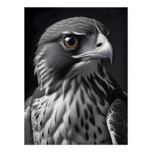 Falcon Wildlife Majestic Natuur Life Wallpaper Perfect Poster