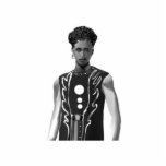 Falcon Wing Vest Staand Fotobeeldje<br><div class="desc">Fotosculptuur</div>