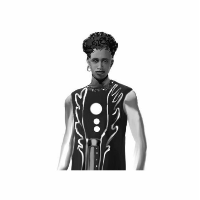 Falcon Wing Vest Staand Fotobeeldje (Voorkant)