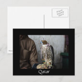 Falconry falcon Black Qatar briefkaart (Voorkant / Achterkant)