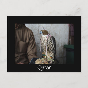 Falconry falcon Black Qatar briefkaart