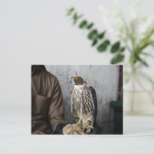 Falconry falcon briefkaart (Staand voorkant)
