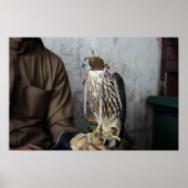 Falconry falcon poster (Voorkant)