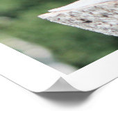 Falconry Harris Hawk met Jesses Poster (Hoek)