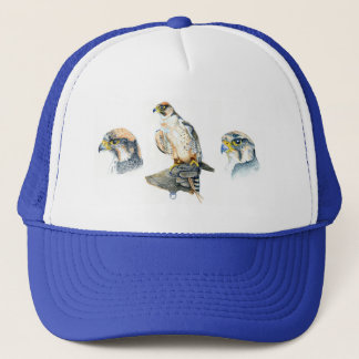 Falconry Pet