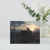 Falcons of Du Bois Library briefkaart (Staand voorkant)